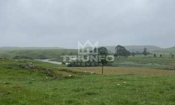 Imagem 3: Sítio em São Francisco de Paula.!! st444