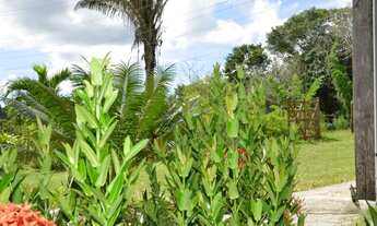 Imagem 6: Granja no conde Chácara com venda por R$850.000