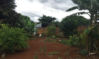 Imagem 4: Sítio - Patrimônio Espirito Santo Londrina/PR