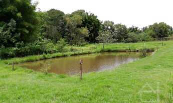 Imagem 5: Chácara em Bandeirantes /PR