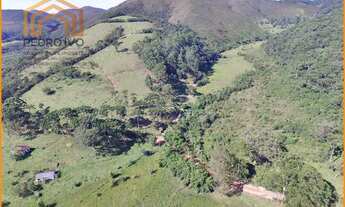 Imagem 6: Fazenda para Venda em Liberdade, Zona Rural, 4 dormitórios, 4 suítes, 1 banheiro, 8 vagas