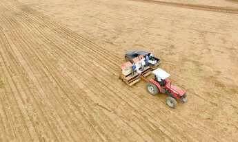 Imagem: 196 alqueires em Araguainha-Mt