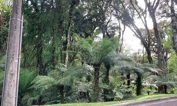 Imagem 2: Terreno no Condomínio O Bosque em Gramado