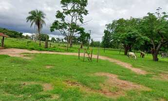 Imagem 6: 535 alqueires em Gurupi-TO