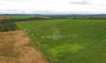 Imagem 7: Fazenda Região Dom Aquino - MT