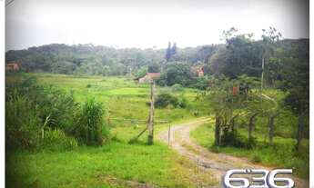 Imagem 7: Terreno | Araquari