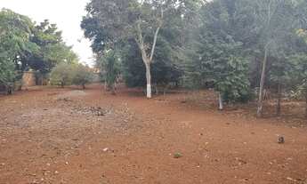 Imagem 5: 5 lotes de 360 mts cada dentro de Goianira URGENTE