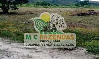 Imagem 4: Fazenda à Venda em Rio de Contas - BA | 309 Hectares