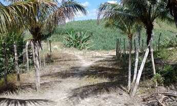 Imagem 5: Vendo sitio Chácara com venda por R$240.000