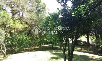 Imagem 3: CANELA - Casa Padrão - Centro