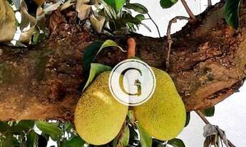 Imagem 5: Oportunidade: Apartamento à VENDA no condomínio Vert Cidade Universitária