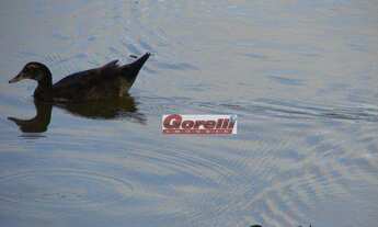 Imagem 7: Casa com 4 dormitórios para alugar, 320 m² por R$ 12.000,01/mês - Condomínio Arujá 5 - Aru