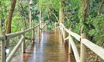 Imagem 3: Apartamento em Partenon