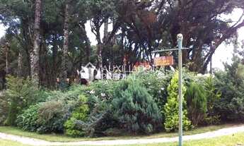 Imagem 3: CANELA - Casa Padrão - Bosque Sinosserra