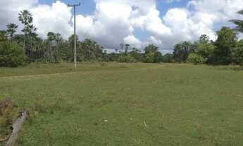 Imagem 6: Vende-se terreno na margens do Rio Poty