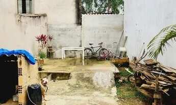 Imagem 7: Lote bem localizado