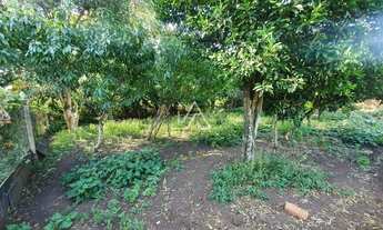 Imagem 7: TERRENO LOT MAGGI