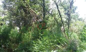 Imagem 4: Terreno à venda, 800 m² por R$ 640.000,00 - Granja Viana - Carapicuíba/SP