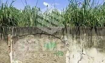 Imagem 3: Terreno - Vila Valqueire