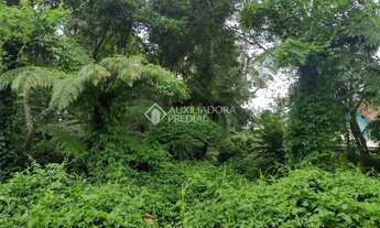 Imagem 4: TERRENO NO BAIRRO ALPES VERDES EM CANELA