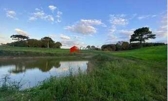 Imagem 2: Chácara com 114.345m² , à venda, no bairro Colônia Murici em São José dos Pinhais