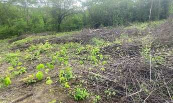 Imagem 7: Chacreamento Recanto dos Sonhos