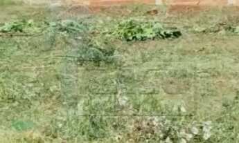 Imagem: Terreno/Padrão - Misto - No bairro Jardim