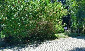 Imagem 2: Terreno em Condomínio- Pendotiba