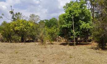 Imagem 4: Chácara próximo a Bonfinópolis