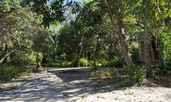 Imagem 3: Imóvel para venda com 1000 metros quadrados em Velha Boipeba - Cairu - BA