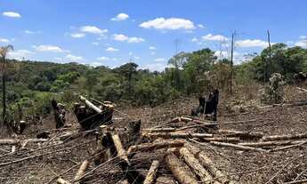 Imagem 4: Imóvel para venda com 500 metros quadrados em Recreio - Ibiúna - SP