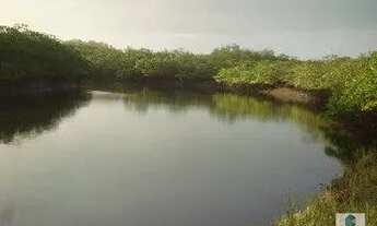 Imagem: JAGUARIPE - RURAL - ZONA RURAL