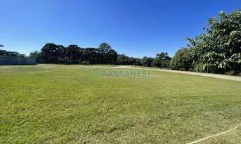 Imagem 5: Terreno Pedancino Caxias do Sul