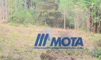 Imagem 3: Chácara à venda, com 7,7 alqueires ou seja 186700 m² por R$ 860.000 - Itaqui de Cima - Cam