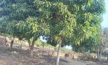 Imagem: Terrenos a venda no Piaui