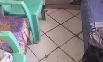 Imagem 7: Casa a venda Casa com 2 dormitórios