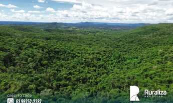 Imagem 4: Palmas - TO Fazenda 30 km de Palmas -TO