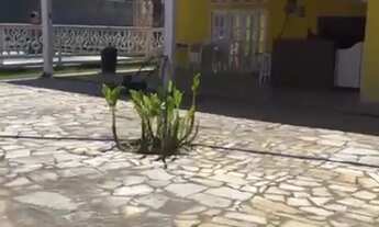 Imagem 6: CHÁCARA EFATAR Pousada / chalé com 5 dormitórios