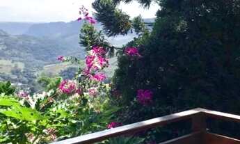 Imagem 4: BENTO GONÇALVES - Casa Padrão - JARDIM GLORIA