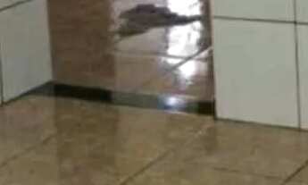 Imagem 5: Vendo casa na cidade nova