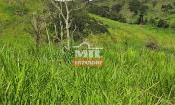 Imagem 4: Fazenda de 100 alqueires (484 hectares) em Pires do Rio - GO