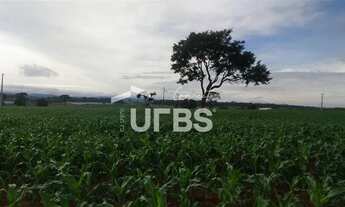 Imagem 5: AREA COMERCIAL FRENTE GO