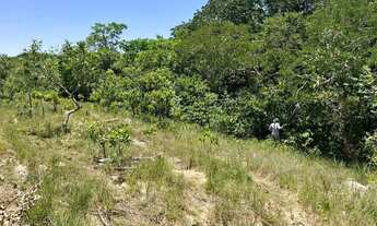 Imagem 6: Fazenda no Cerrado com Alto Potencial Produtivo Documentação em Dia