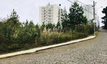 Imagem 3: Terrenos - Villa Horn