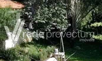 Imagem 5: Sítio - Reforma Agrária - Valinhos