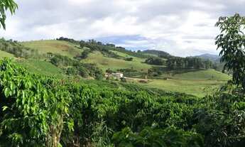 Imagem 4: FAZENDA MATIPÓ - 13,5 Alqueires