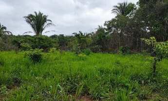 Imagem 6: VENDO!!! Uma fazenda de 290 hectares na beira do rio manso com 400 metros de mar