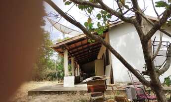 Imagem 6: Chácara 1 alqueire em Aragoiania