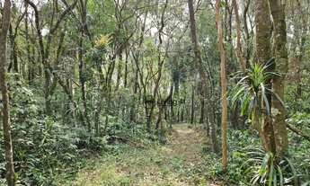 Imagem 5: Chácara no Passaúna com 3 dormitórios à venda, 40000 m² por R$ 4.950.000 - Ferraria - Camp