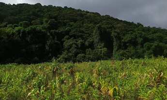 Imagem 7: Terrenos de 500 m² a 1.000 m² em Ibiúna para projetos futuros